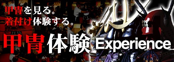 Experience